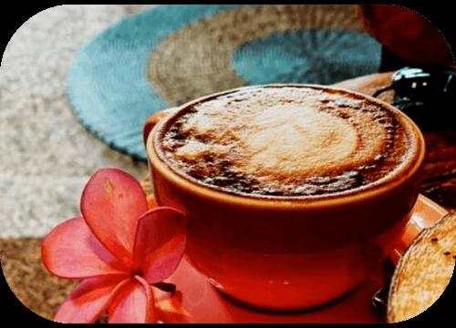 A cappuccino in a terracotta cup with a pink frangipani flower